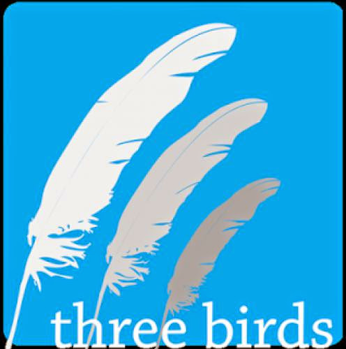 Three Birds Renewable Energy Education Initiative