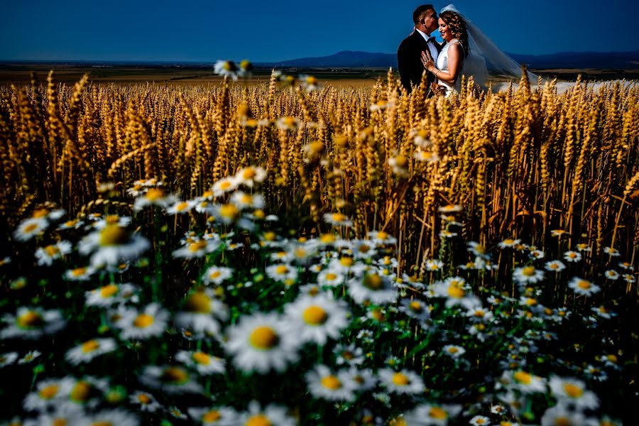 Wedding photographer Claudiu Negrea (claudiunegrea). Photo of 1 July 2019