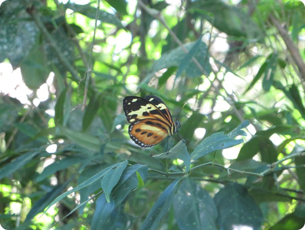 Parque provincial Yacuy 4