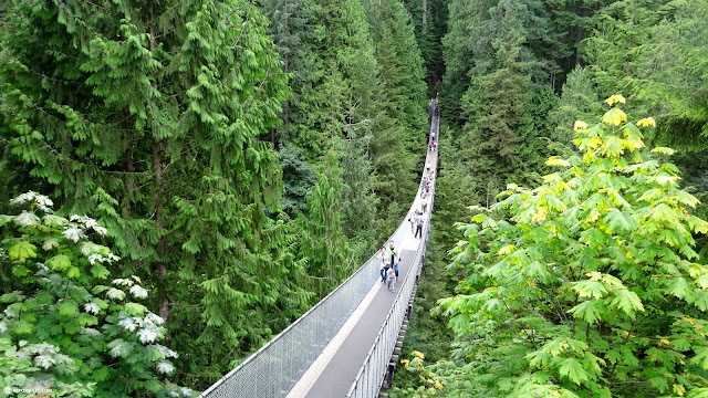 crossing the Capilano Suspension Bridge in North Vancouver, Canada 