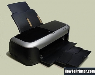 Reset Epson 2200 printer with Resetter program