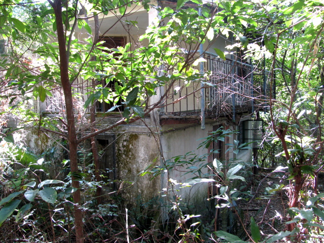 an abandoned house