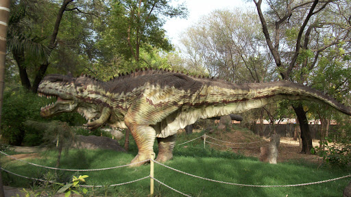 Dinosaur And Fossil Park, Nature Park Walk, Indroda, Gandhinagar, Gujarat 382421, India, Park_and_Garden, state GJ