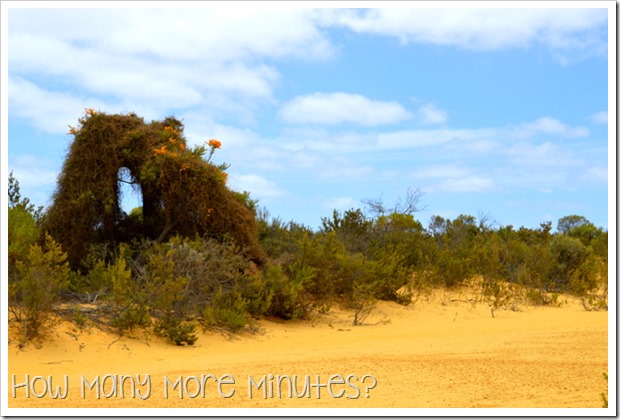 The Pinnacles: Nambug National Park | How Many More Minutes?