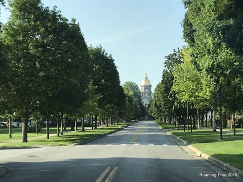 Looking up the center of campus