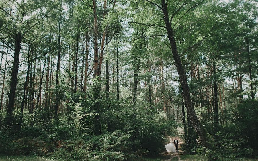 Fotógrafo de bodas Pavel Tushinskiy (1pasha1). Foto del 9 de enero 2018