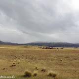 Altiplano boliviano