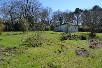 terrain à Gujan-Mestras (33)