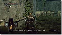 DARKSOULS 2016-07-31 20-41-01-63