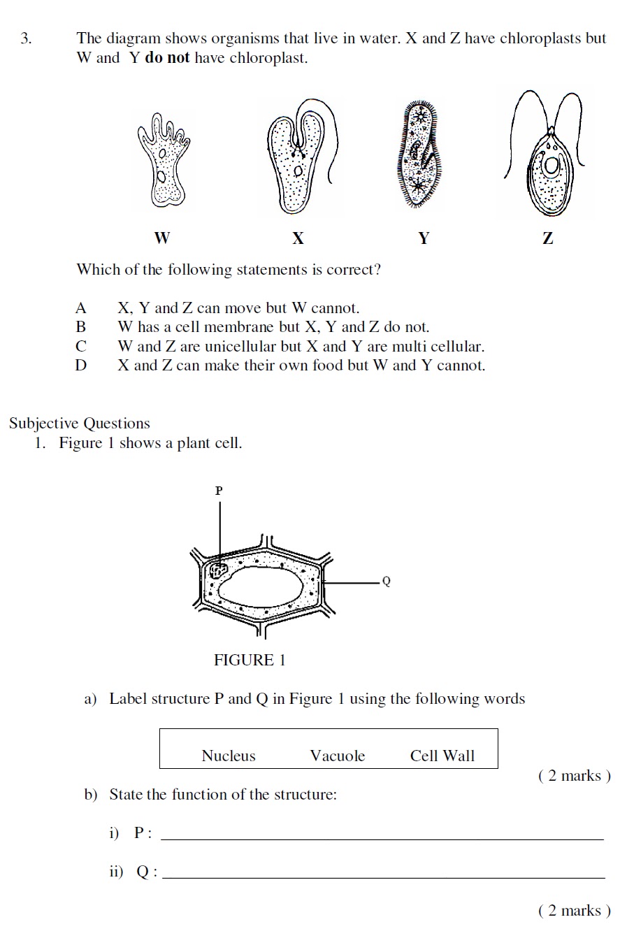 Science Form 1 Chapter 2 Exercise With Answers