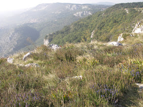 Friaul, Wanderstudienreise, Heideker Reisen, Villa di Tissano, Dr. Christoph Ulmer, Matajur, St. KanzianTriest, Cividale, San Daniele