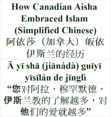 How Canadian Aisha Embraced Islam Chinese Language - 加拿大艾莎如何拥抱伊斯兰教-阿依莎（加拿大）皈依伊斯兰的经历