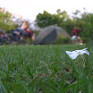 2011-04-10 18-32 camping na łonie natury.JPG