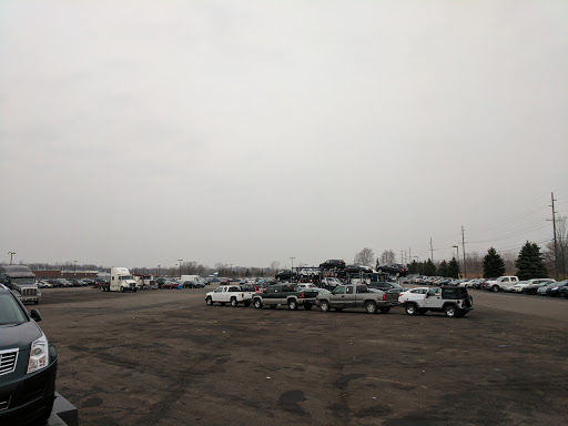 Auto Auction «Manheim Detroit», reviews and photos, 600 Will Carleton Rd, Carleton, MI 48117, USA