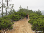 McRary Ridge Trail