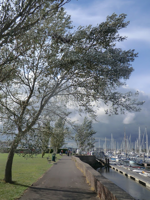 CIMG4511 Riverside path, Lymington