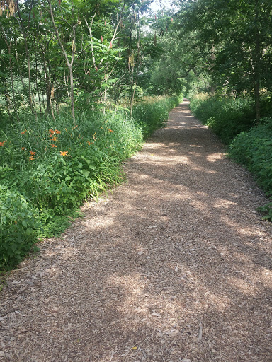 Nature Preserve «Lincoln Marsh», reviews and photos, Harrison Ave & Pierce Ave, Wheaton, IL 60187, USA