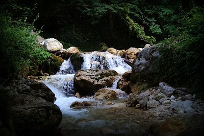 Photos of Nature Reserve and Oasis Valley Hunting