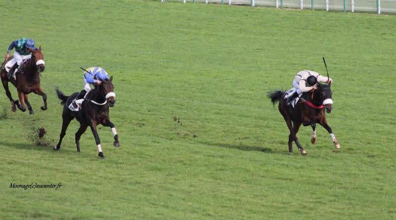 Photos Auteuil 7-11-2015 (48h de l'obstacle) IMG_6279