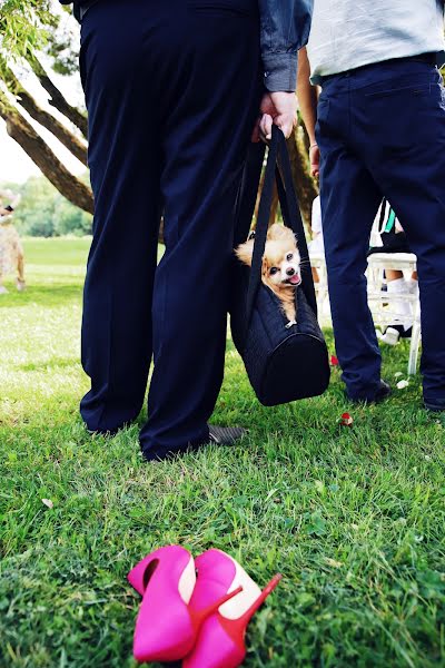 Fotografo di matrimoni Natalya Ivanova (natashasfotkay). Foto del 28 luglio 2019