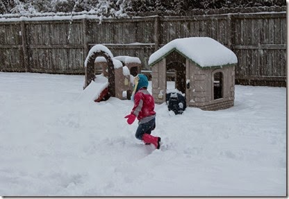 Zoey running in the snow