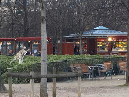 Jardin des Tuileries