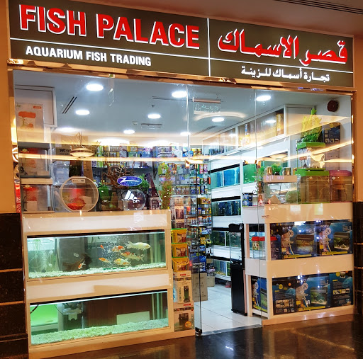 Fish Palace - aquarrium fish trading, Abu Dhabi - United Arab Emirates, Pet Store, state Abu Dhabi