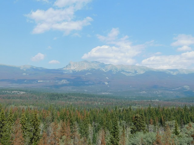 C056_CAN AL Jasper NP_2018-08-13_DSCN2380