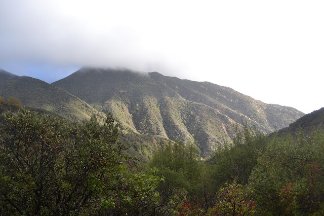 more green slopes