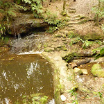 Dammed pool near the Pines campsite in the Watagans (322172)