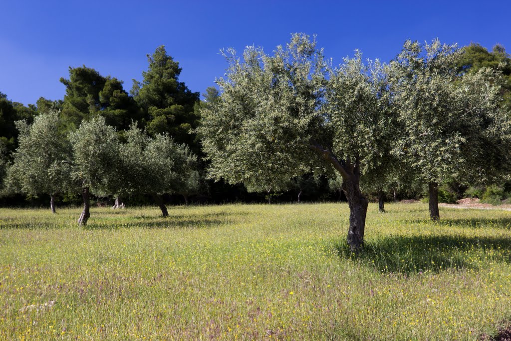 2 месяца в Греции. Часть 1: дорога по Балканам – Пелион – Коринфский залив – Афины - Крит