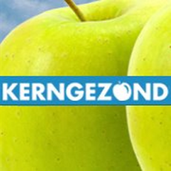 KernGezond Fysiotherapie Mijdrecht logo