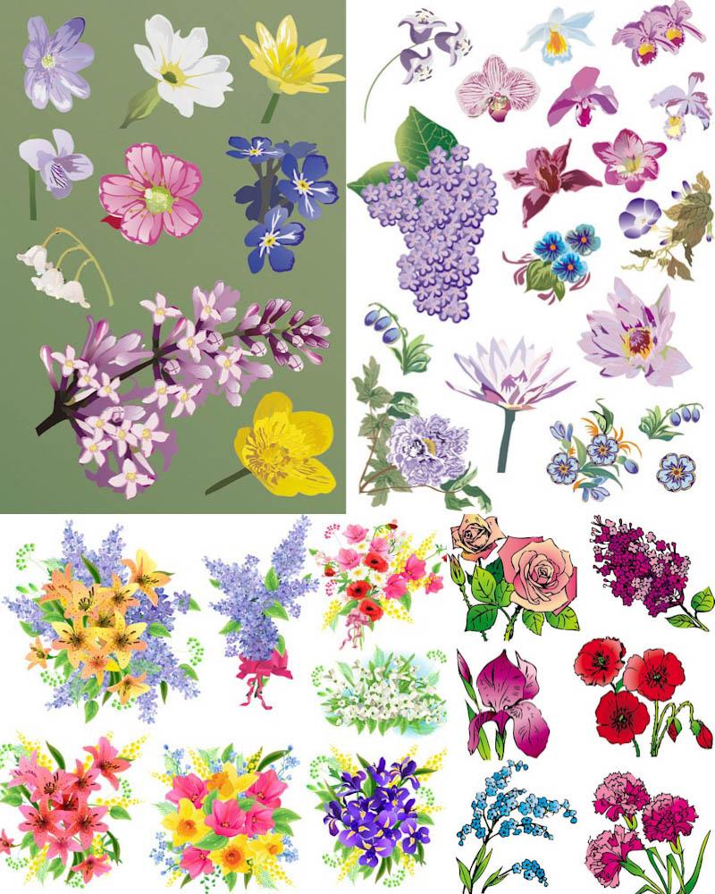 Flowers vector clipart set.