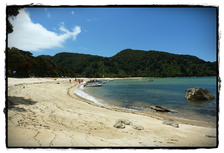 Abel Tasman NP - Te Wai Pounamu, verde y azul (Nueva Zelanda isla Sur) (2)