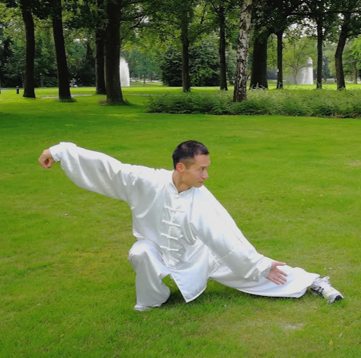 Chinese Tai Chi & Massage Drenthe logo