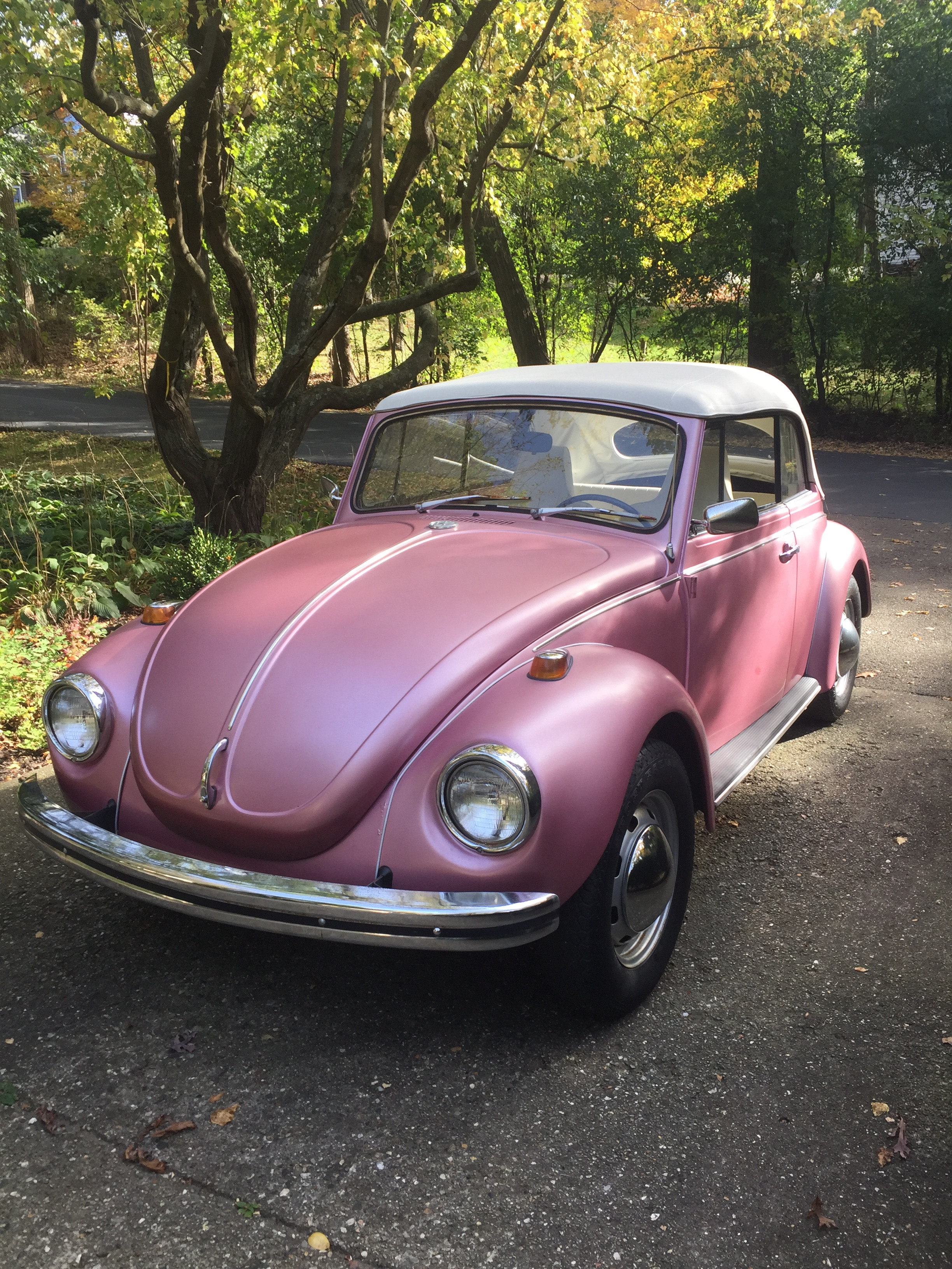 Volkswagon Beetle Hire Denver