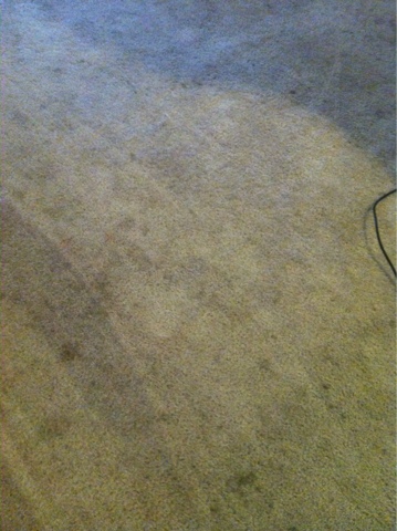 Kirby Supplies Shampoo Serving Lubbock Tx And Surrounding Areas Kirby Carpet Shampoo For Pet Owners 1 Gallon