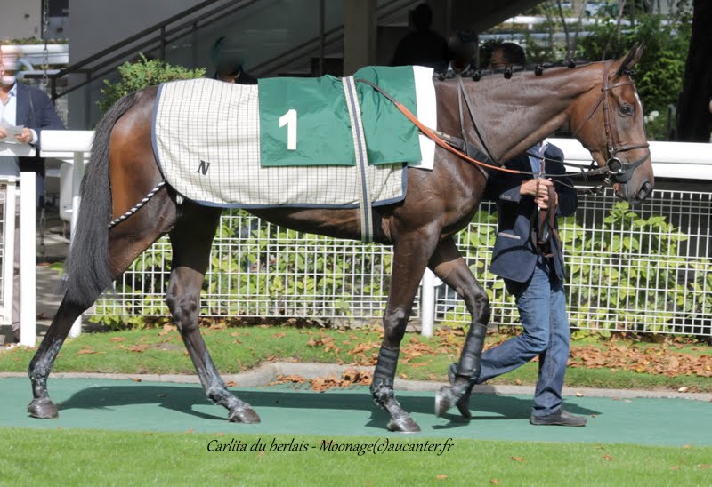 Photos Auteuil 26-09-2015 IMG_3903