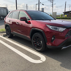 RAV4 AXAH54