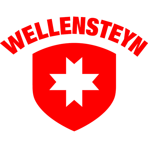 Wellensteyn Mannheim logo