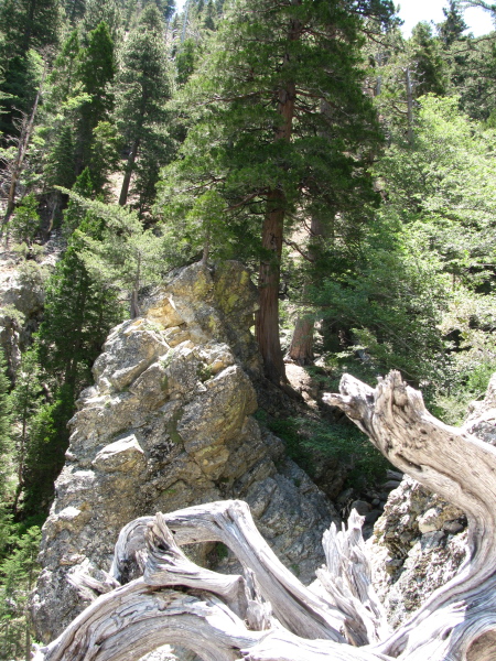 above the falls