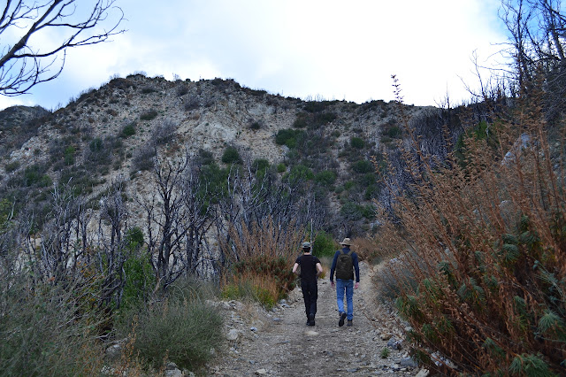 road around Mt. Lowe