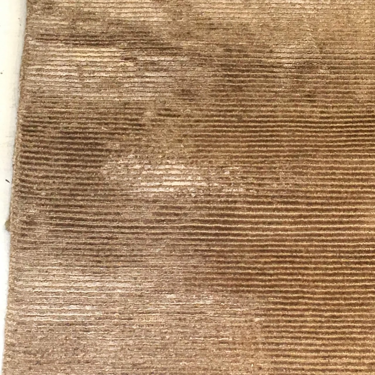 Restoration Hardware Wool/Silk Area Rug