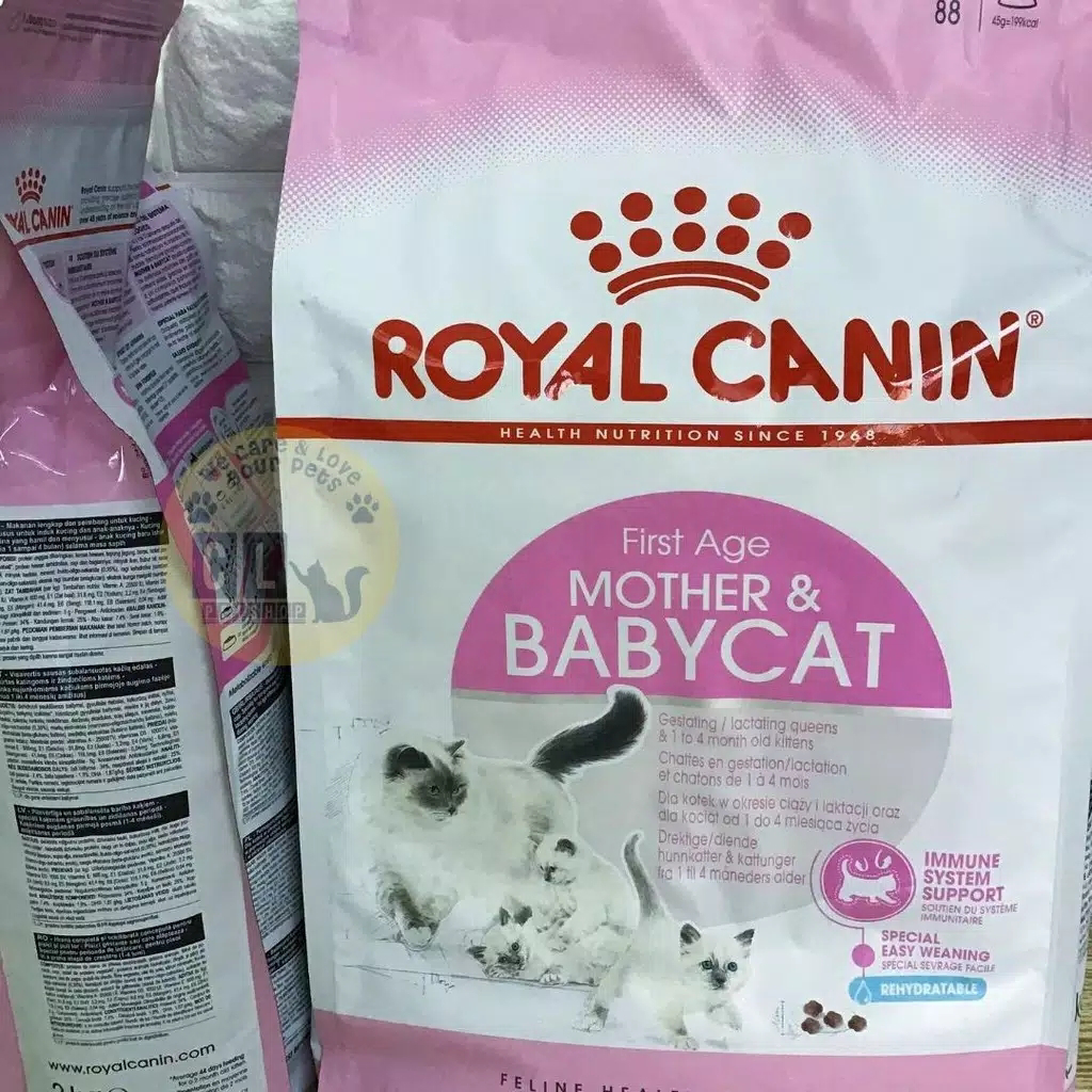 Makanan anak kucing umur 1 bulan