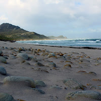 Ciottoli in spiaggia di 