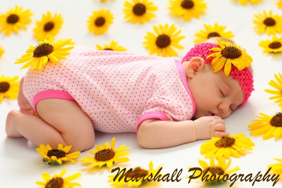 IMAGE: https://lh3.googleusercontent.com/-_Db2ofkUdO8/UE9IGIsXMdI/AAAAAAAACsQ/rKV7Ww7IbB0/s960/IMG_2026%2520sm.jpg