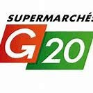 G20 logo