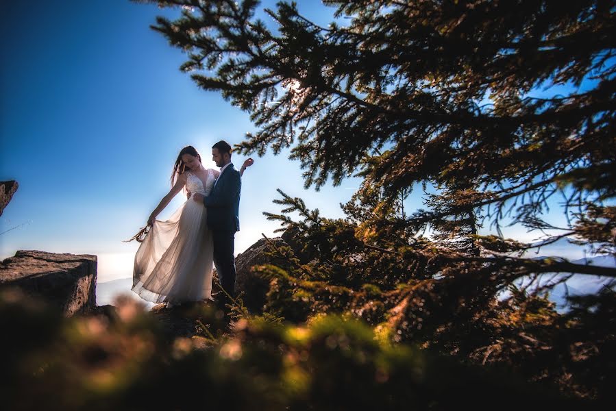 Wedding photographer Catalin Voinea (catalinvoinea). Photo of 31 October 2019