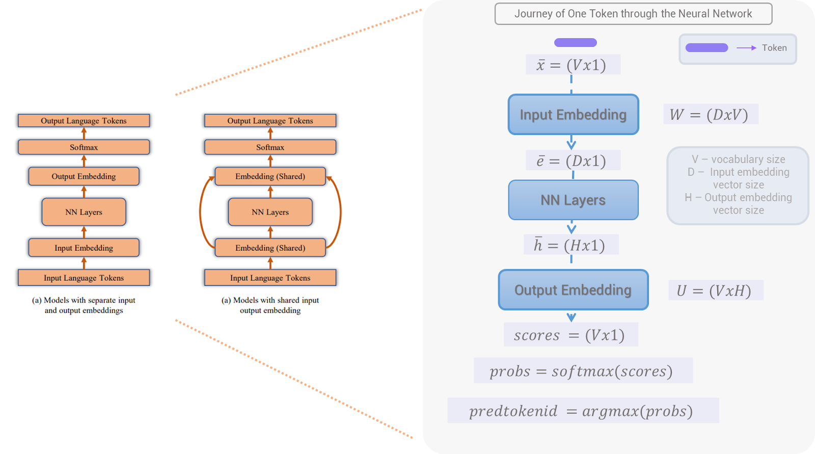 Journey of how a token travels through the Language models illustrated by their respective matrix sizes. Shared Input-Output embeddings is possible if (H == D) 