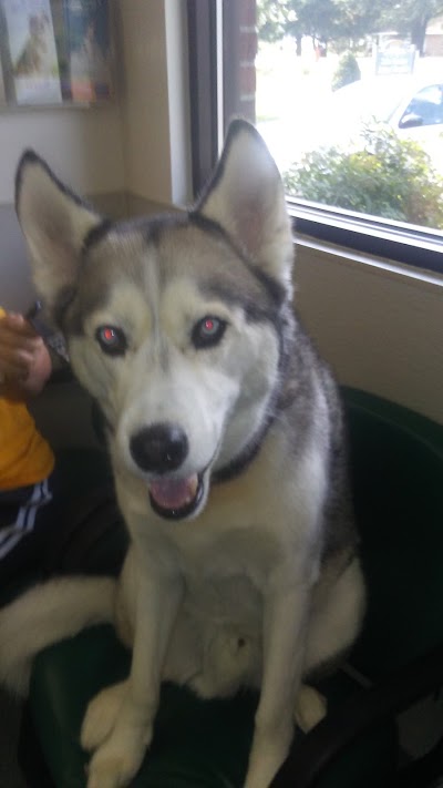 Photos of Lake Country Animal Hospital